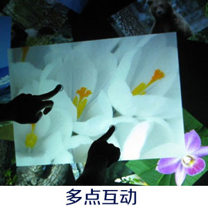 Image 002